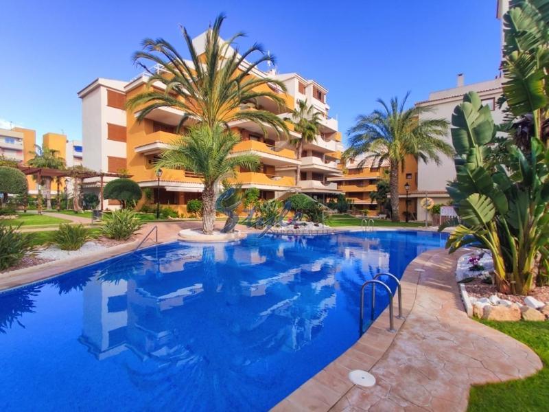 Punta Prima Nice Apartment With Sea Views Торевиеха Екстериор снимка