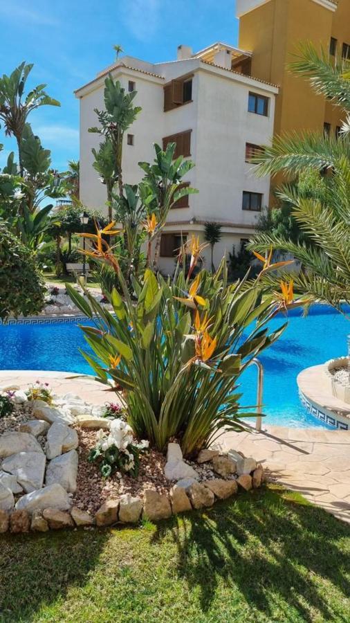 Punta Prima Nice Apartment With Sea Views Торевиеха Екстериор снимка
